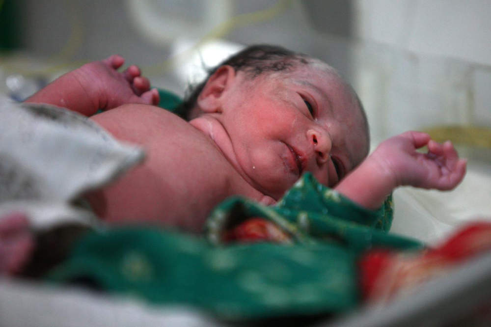 2010年11月12日，刚刚出生的阿里法·沁。新华社记者 琚振华 摄